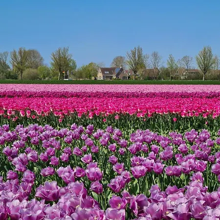 69 Op Recreatiepark De Wielen * Sint Maarten