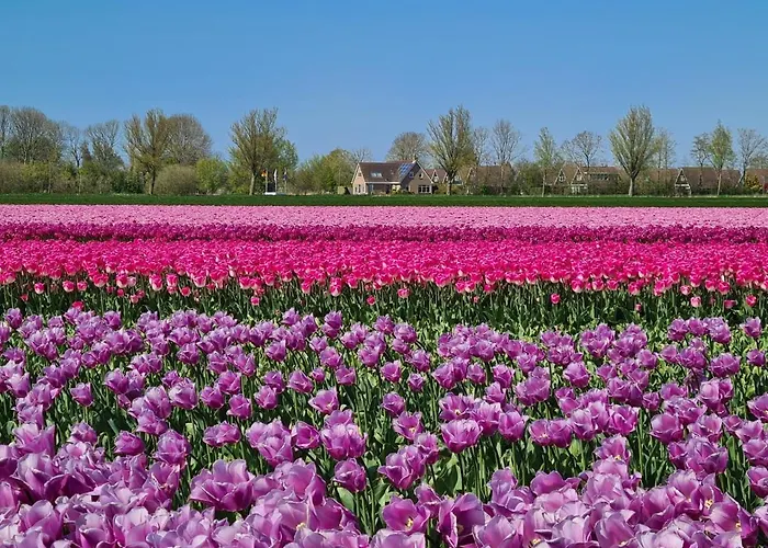 69 Op Recreatiepark De Wielen * 신트 마르턴