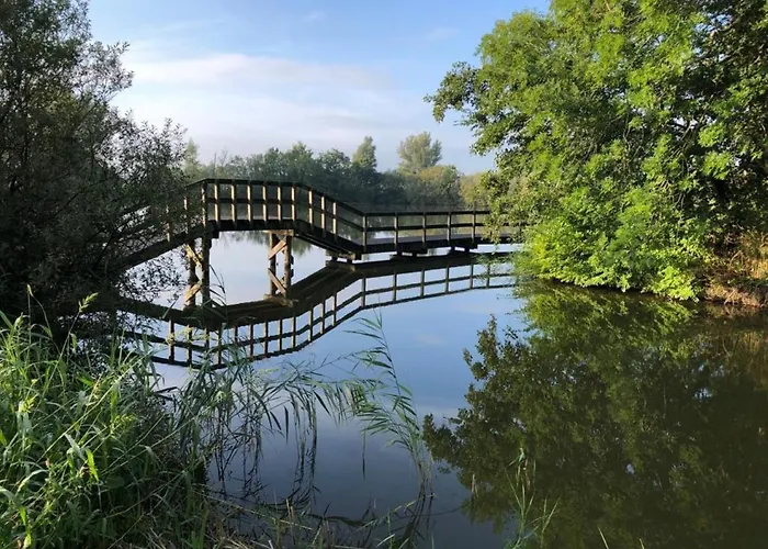 69 Op Recreatiepark De Wielen 펜션