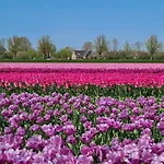 69 Op Recreatiepark De Wielen * Sint Maarten